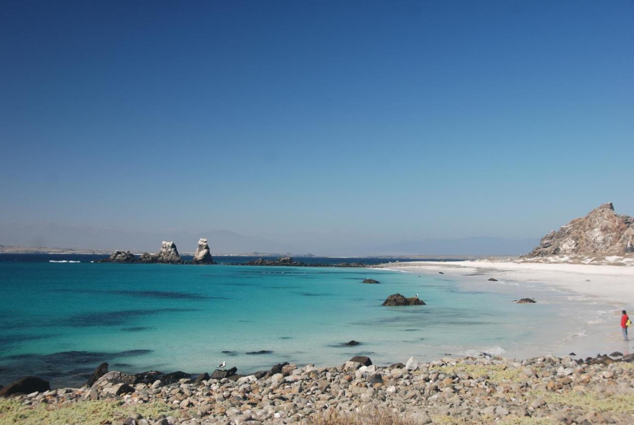 Cabanas Las Hualas Punta de Choros Esterno foto