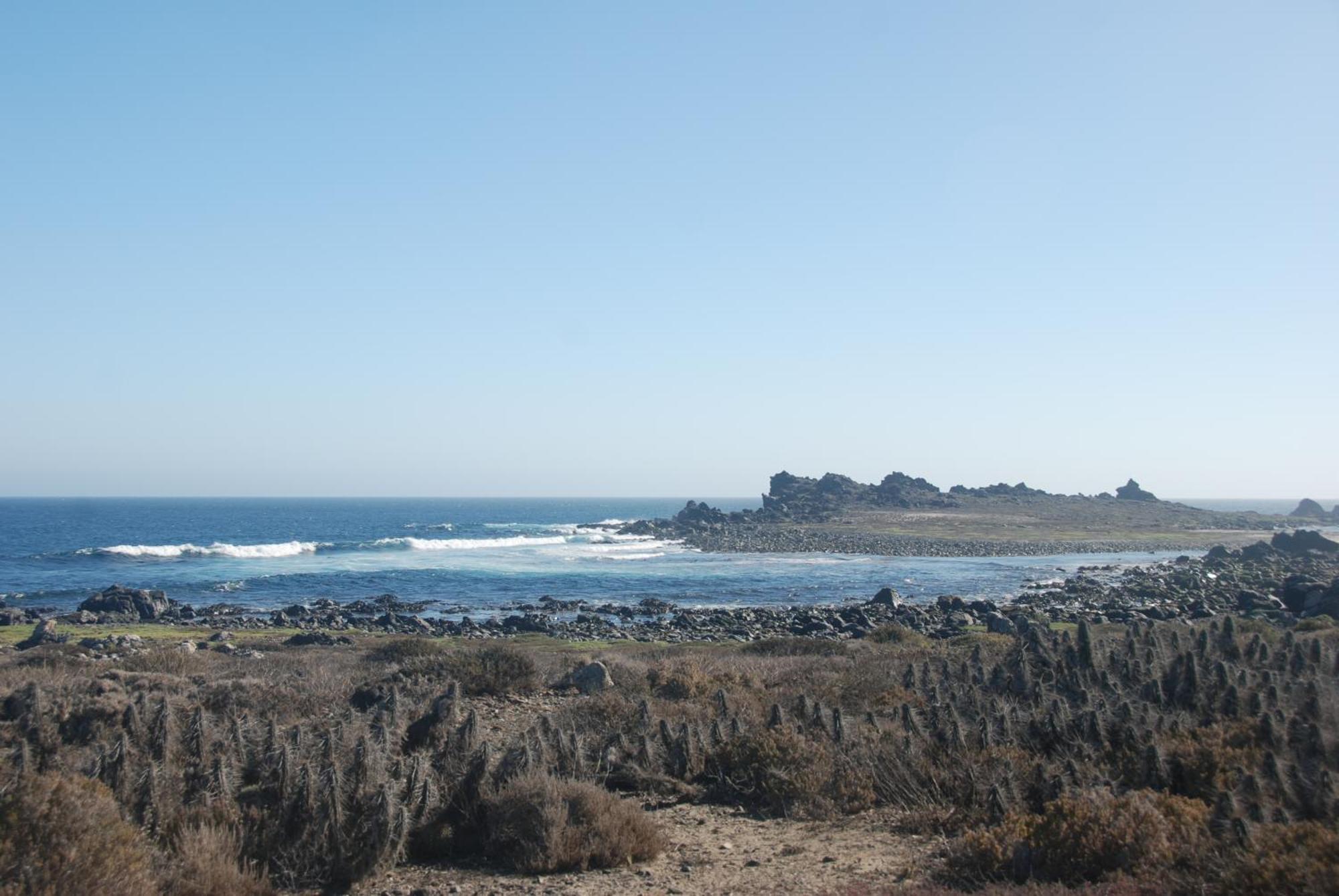 Cabanas Las Hualas Punta de Choros Esterno foto